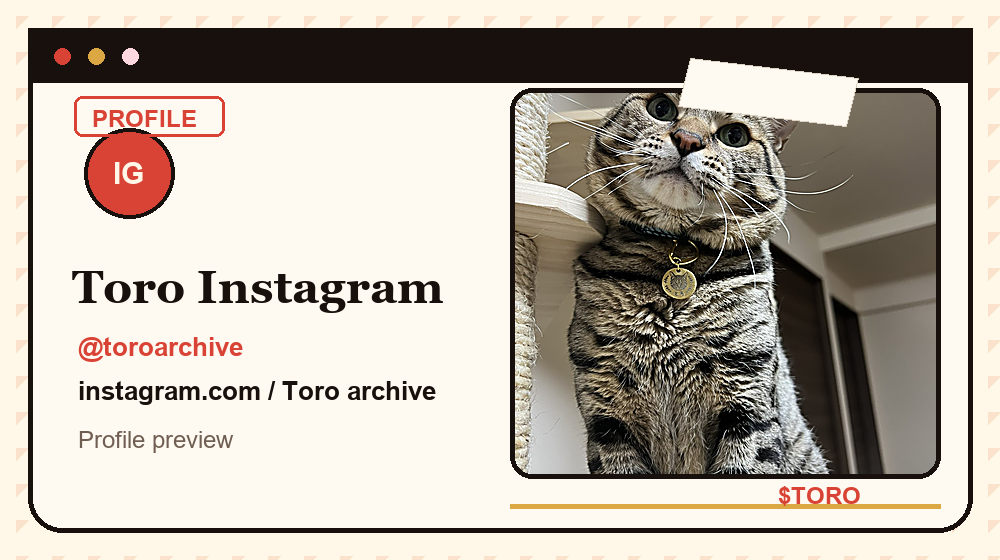 Screenshot-style preview of the Toro Instagram account